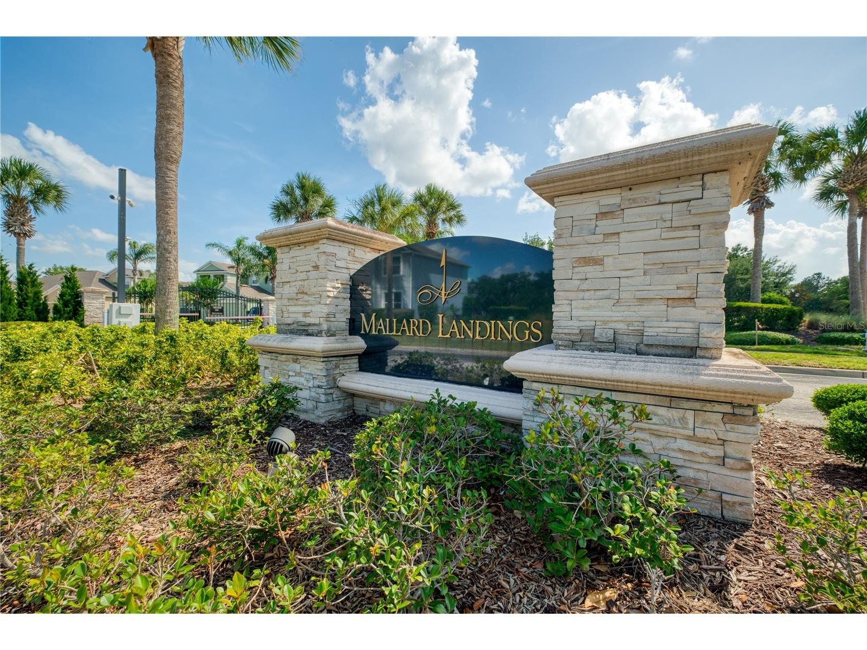 10174 Mallard Landings Way Orlando FL 32832 O6406057 image37