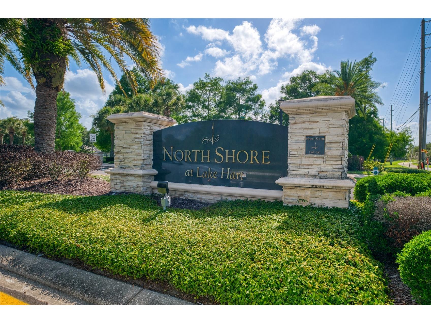 10174 Mallard Landings Way Orlando FL 32832 O6406057 image42