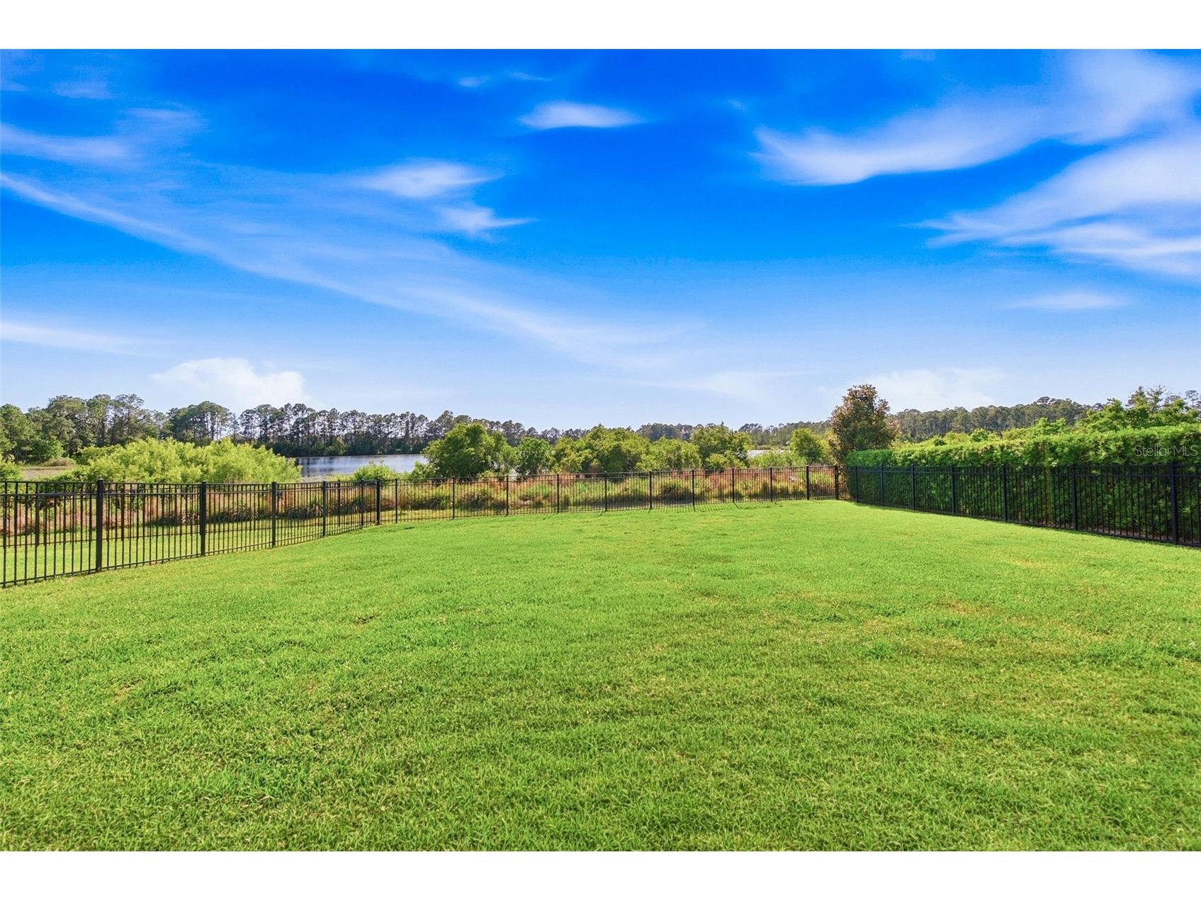 10174 Merrymeeting Bay Drive Winter Garden FL 34787 - LAKE EMILY O6402434 image37