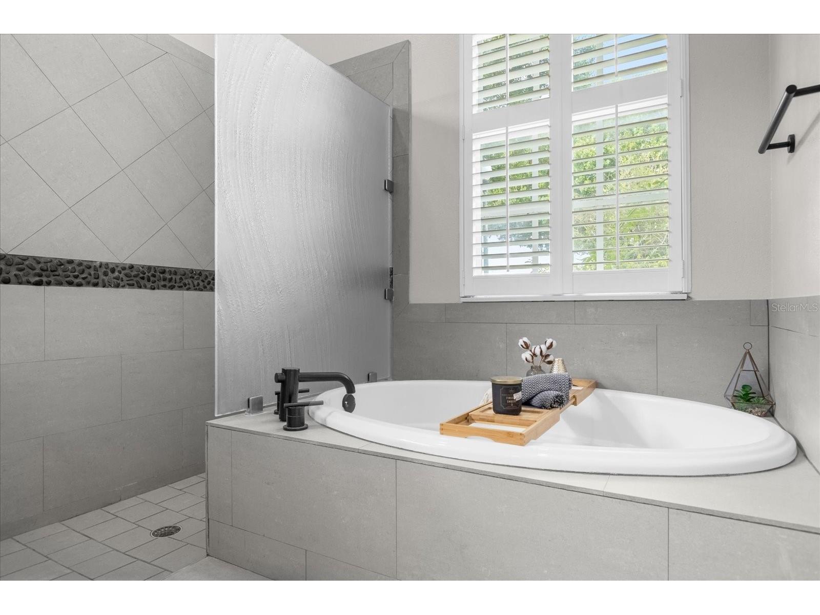 10175 Cove Lake Drive Orlando FL 32836 O6422092 image33