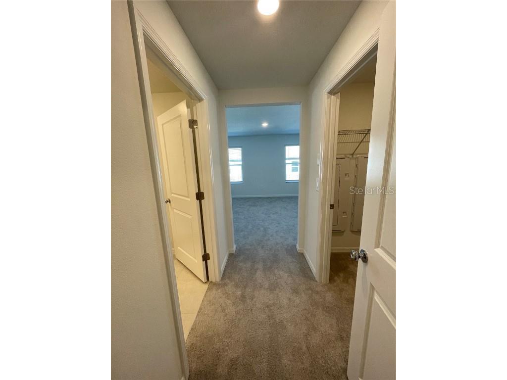 10175 Trumpet Honeysuckle Way San Antonio FL 33576 TB8431696 image12