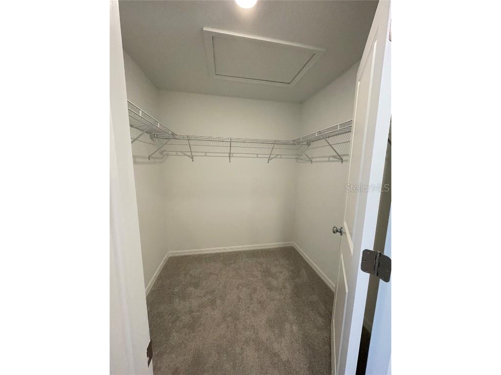 10175 Trumpet Honeysuckle Way San Antonio FL 33576 TB8431696 image13