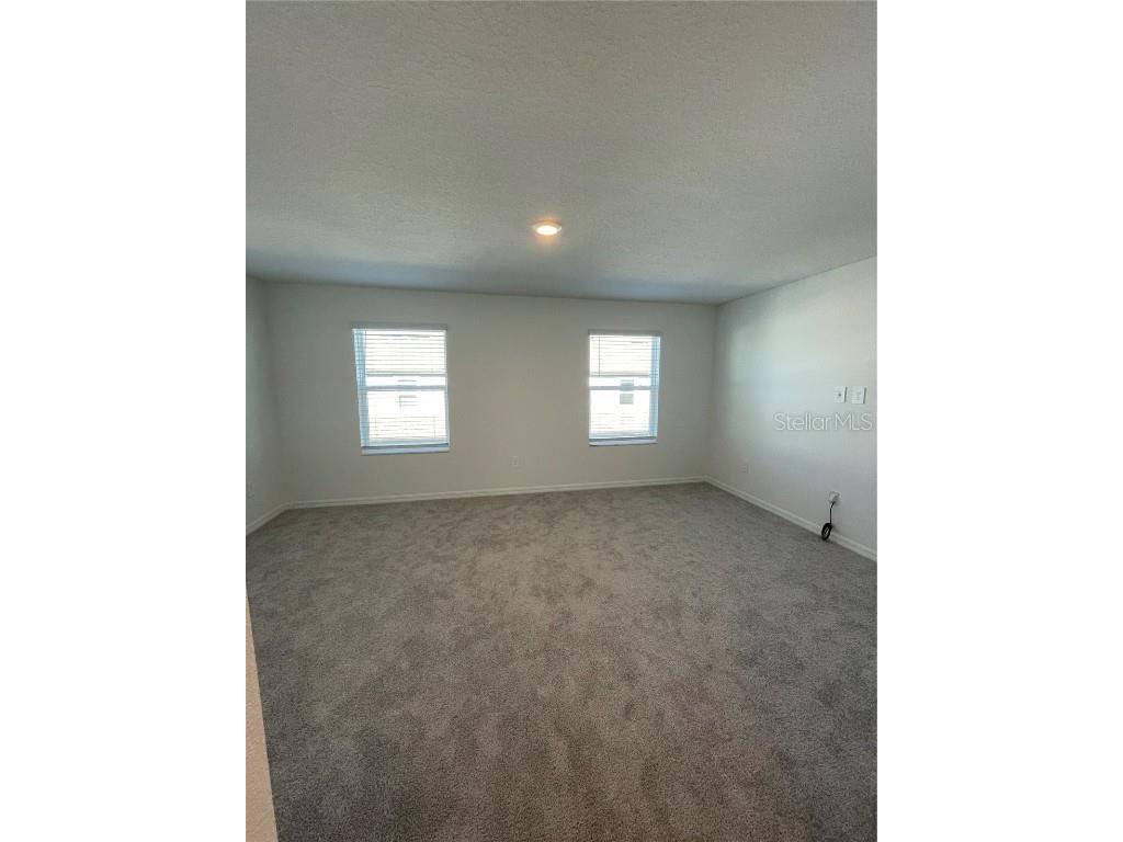 10175 Trumpet Honeysuckle Way San Antonio FL 33576 TB8431696 image14