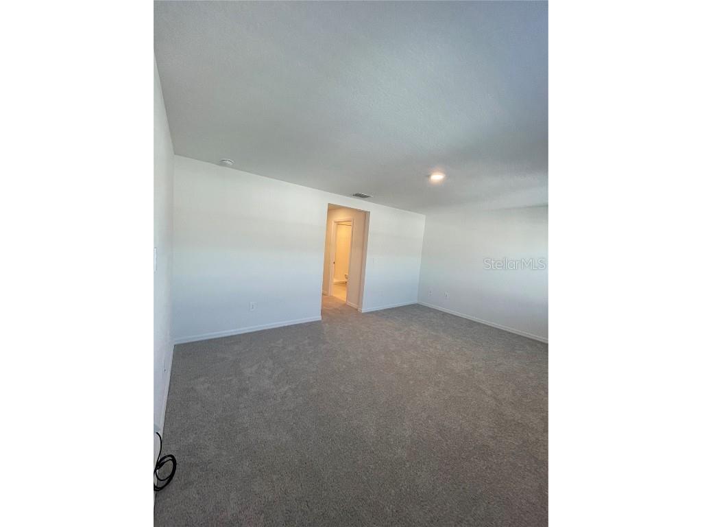 10175 Trumpet Honeysuckle Way San Antonio FL 33576 TB8431696 image15