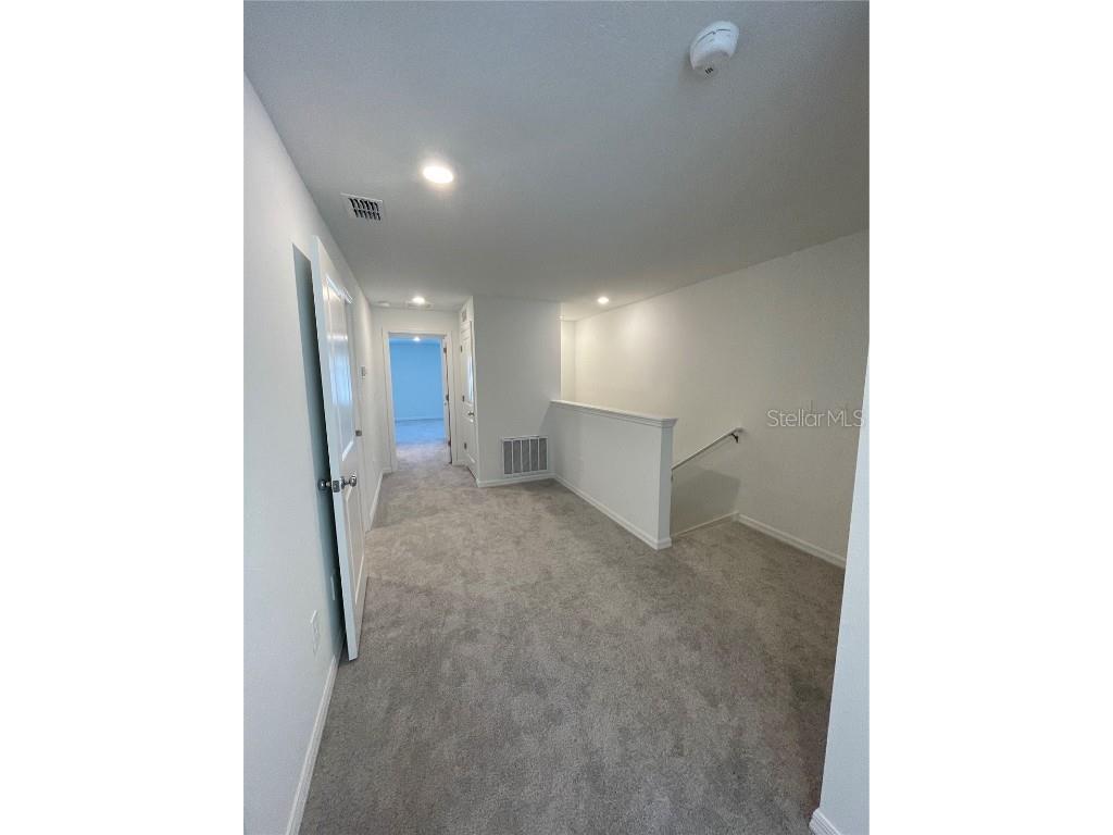 10175 Trumpet Honeysuckle Way San Antonio FL 33576 TB8431696 image18