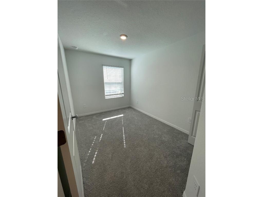 10175 Trumpet Honeysuckle Way San Antonio FL 33576 TB8431696 image19