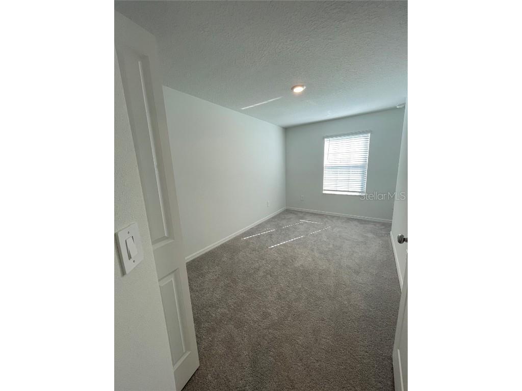 10175 Trumpet Honeysuckle Way San Antonio FL 33576 TB8431696 image21