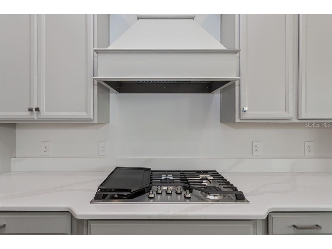 10176 Brocksport Circle Gotha FL 34734 O6341722 image19