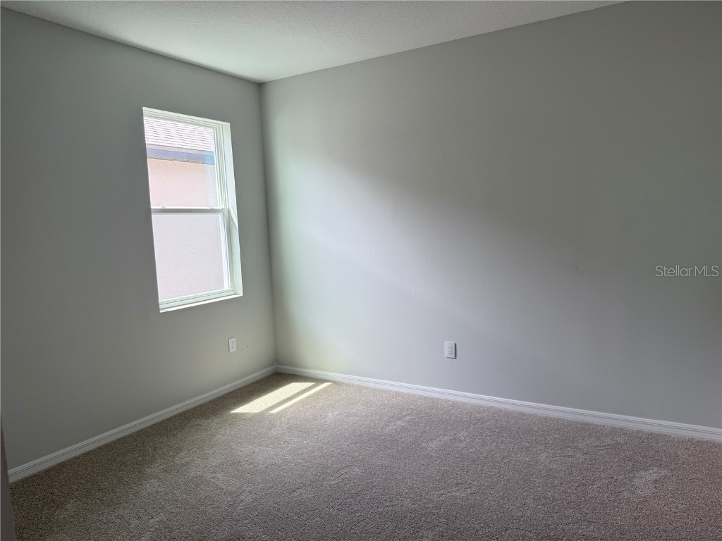 10176 Hidden Hammock Loop Parrish FL 34219 TB8427116 image10