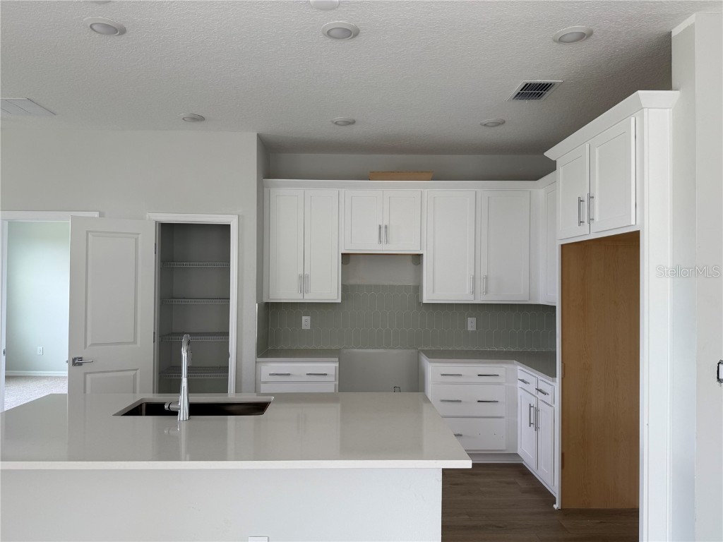 10176 Hidden Hammock Loop Parrish FL 34219 TB8427116 image20