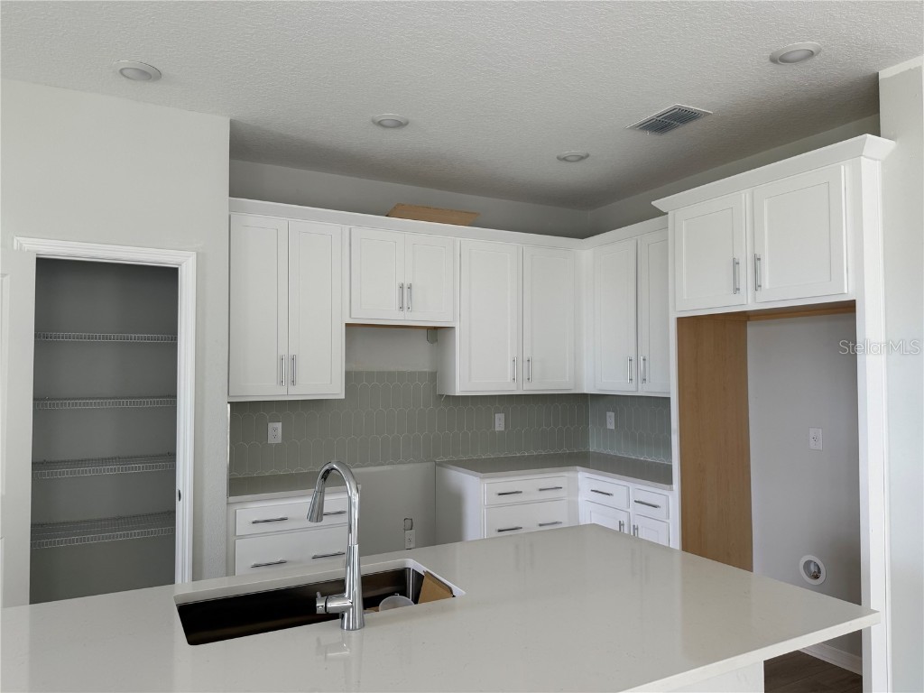 10176 Hidden Hammock Loop Parrish FL 34219 TB8427116 image21