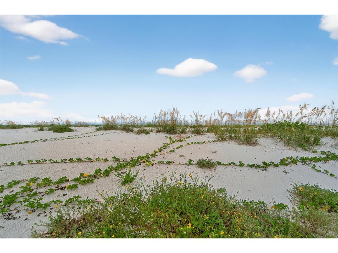 10178 Gulf Boulevard Treasure Island FL 33706 - GULF OF AMERICA TB8434410 image72