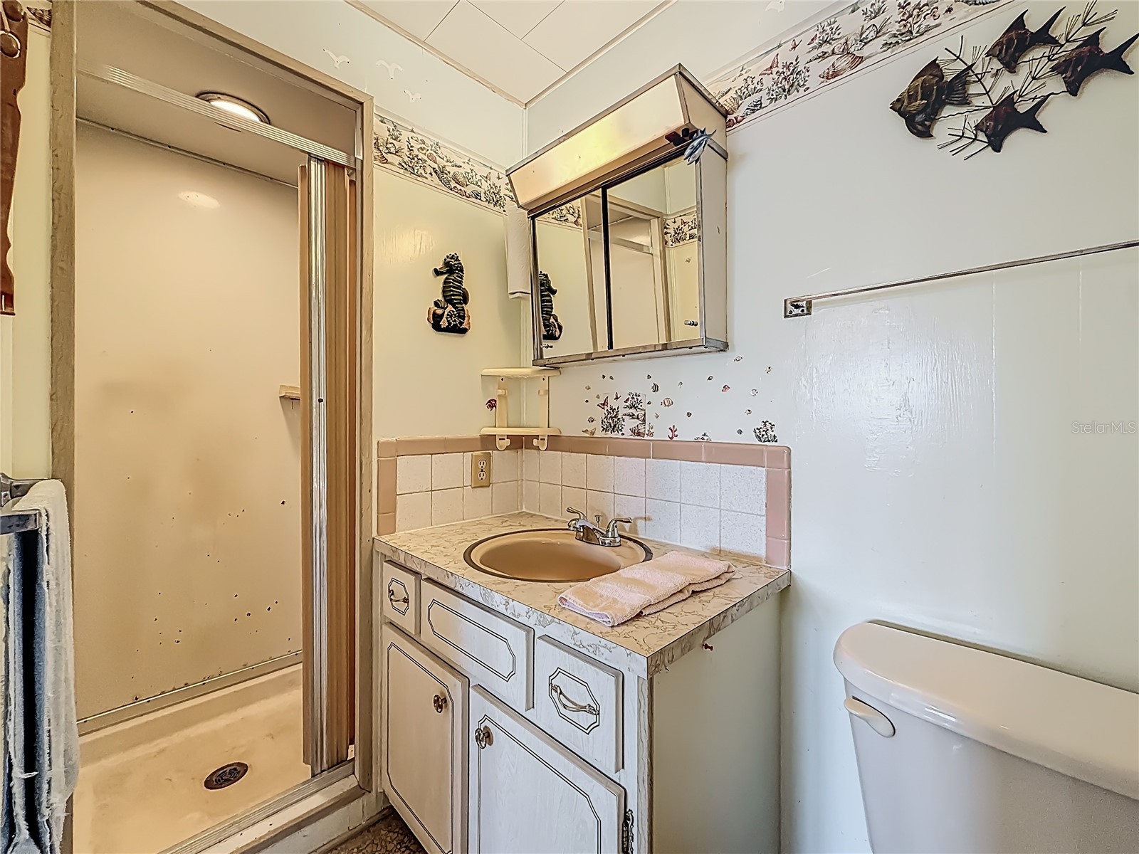 10178 N Lake Drive #45 Largo FL 33773 - LAKE SEMINOLE TB8498702 image29