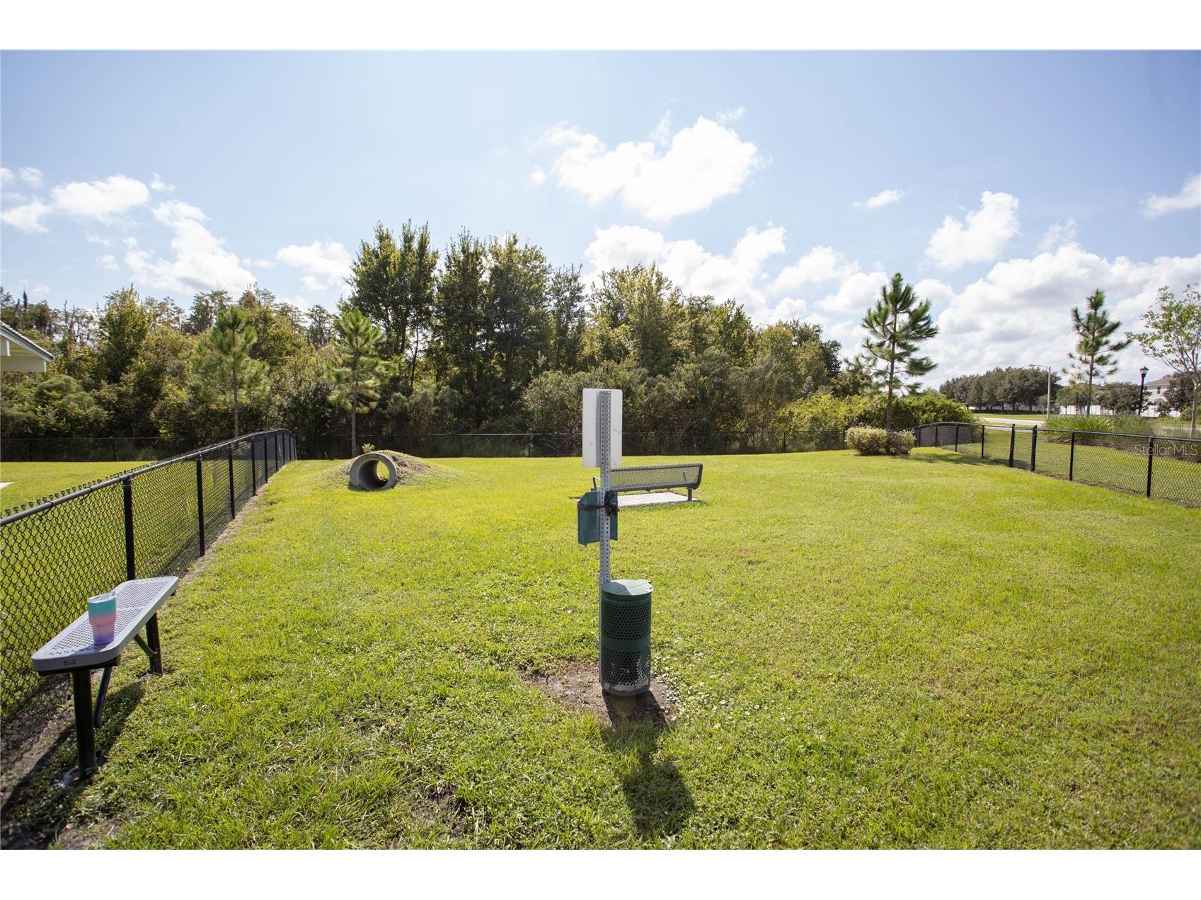 10179 Gliding Eagle Way Land O Lakes FL 34638 TB8461400 image24