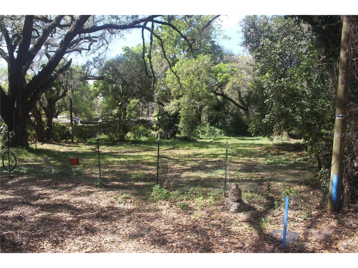 1018 Brinwood Drive Seffner FL 33584 U8191484 image1