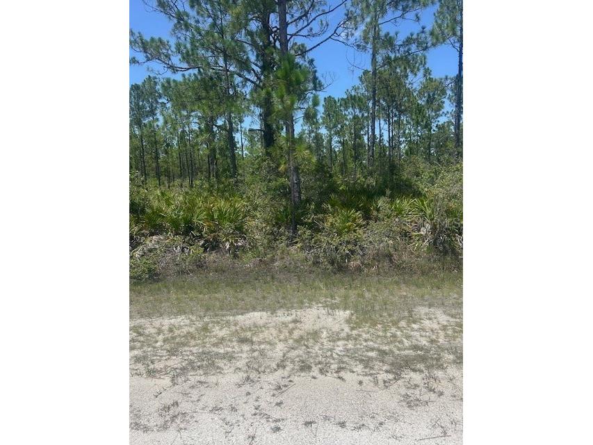 1018 Calendula Drive Indian Lake Estates FL 33855 - LAKE WALK-IN-WATER P4935664 image1