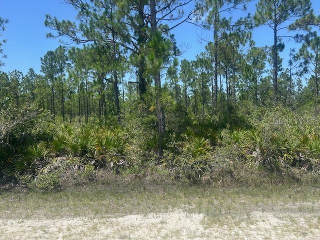 1018 Calendula Drive Indian Lake Estates FL 33855 - LAKE WALK-IN-WATER P4935664 image2