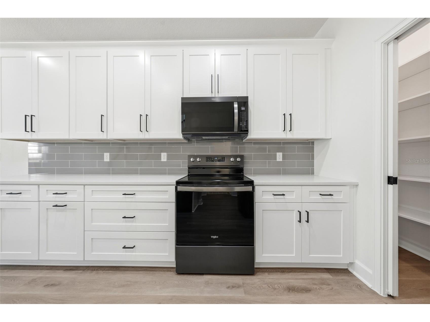 1018 Farmstead Street Eustis FL 32736 S5152121 image9