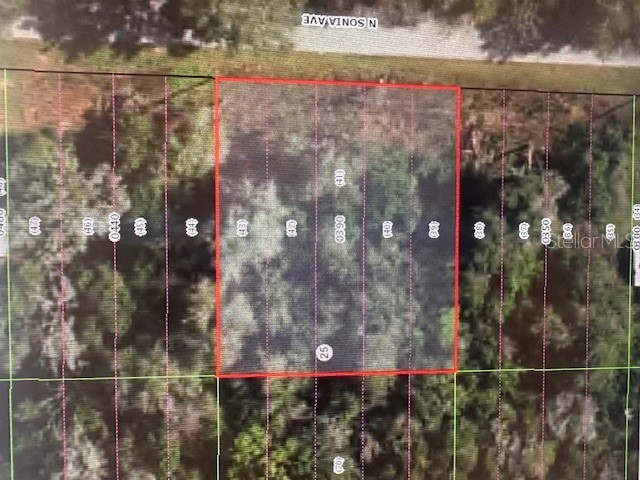1018 N Sonia Avenue Inverness FL 34453 OM713863 image1