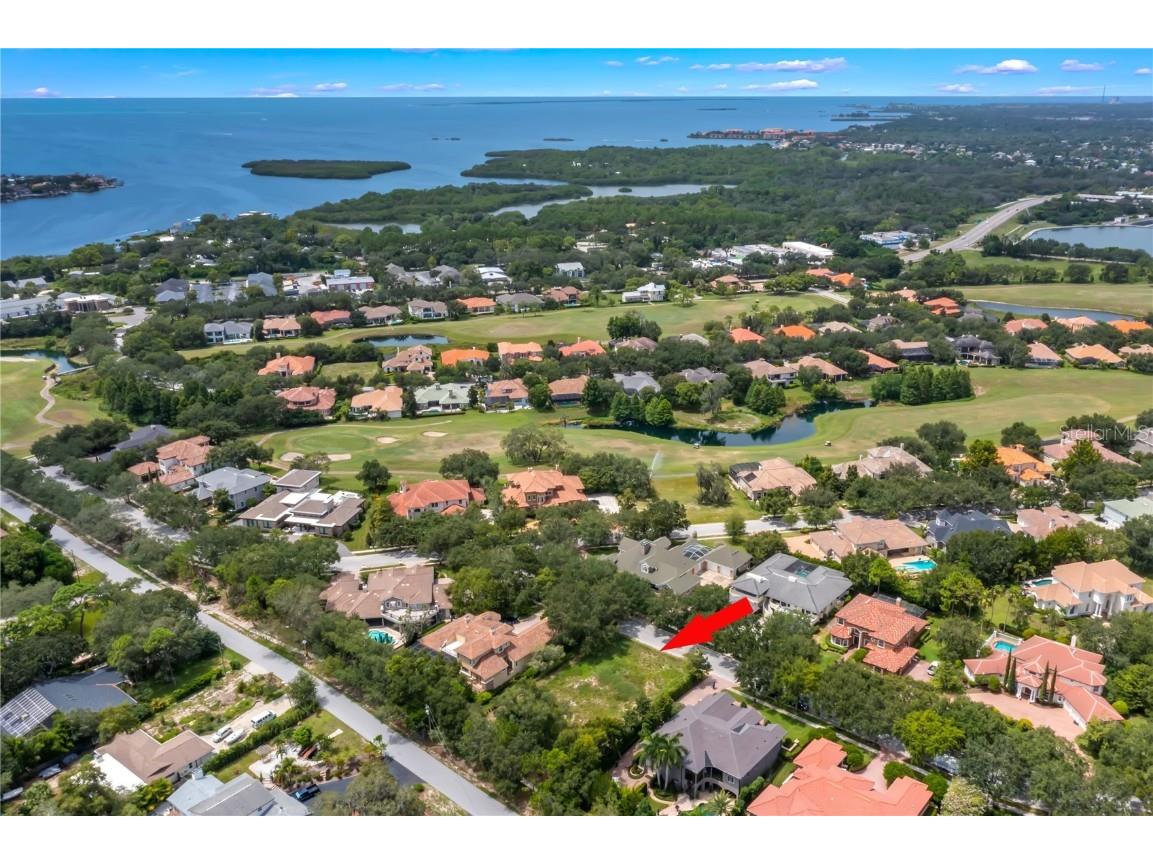 1018 Roundstone Place Palm Harbor FL 34683 U8173024 image1