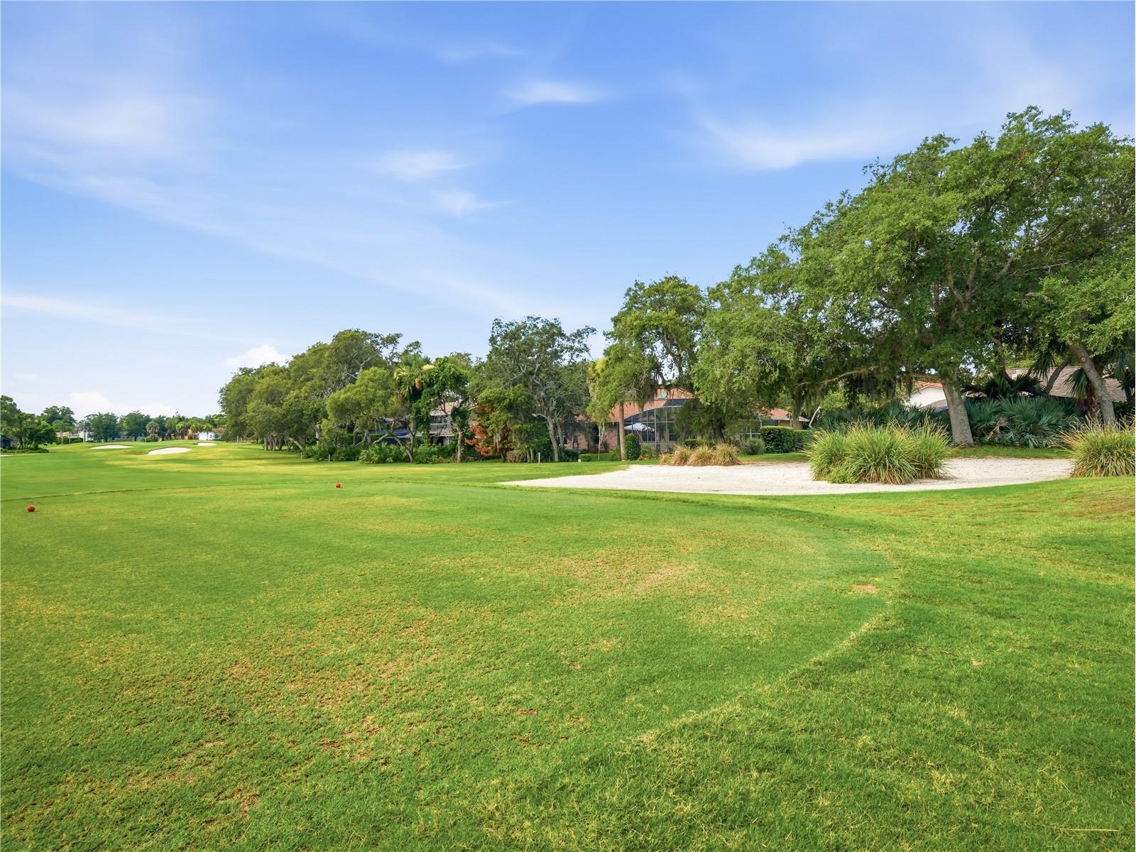 1018 Staggerbush Place New Smyrna Beach FL 32168 NS1088641 image64