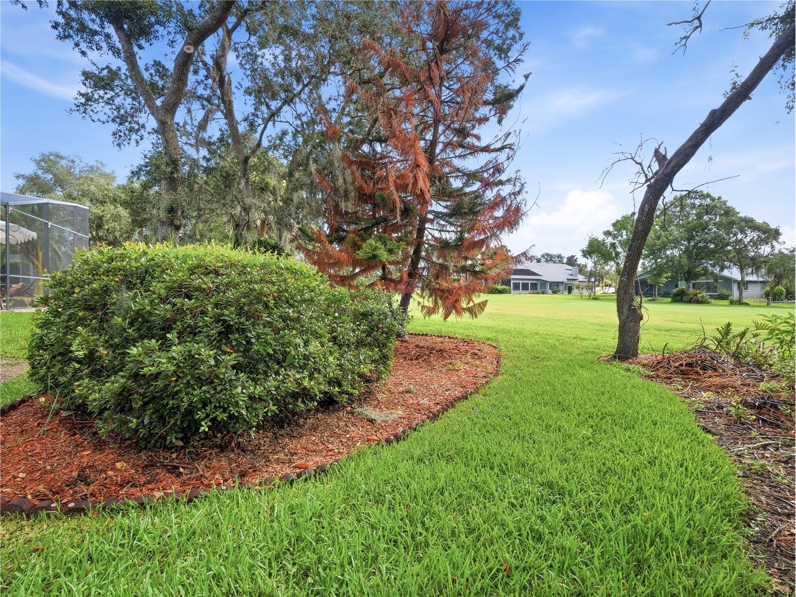 1018 Staggerbush Place New Smyrna Beach FL 32168 NS1088641 image65