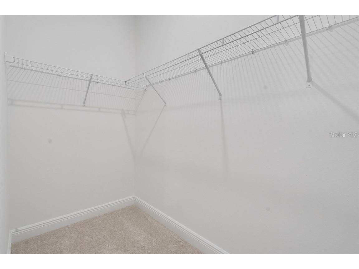 1018 Swamp Chestnut Loop Lady Lake FL 32159 G5104503 image29