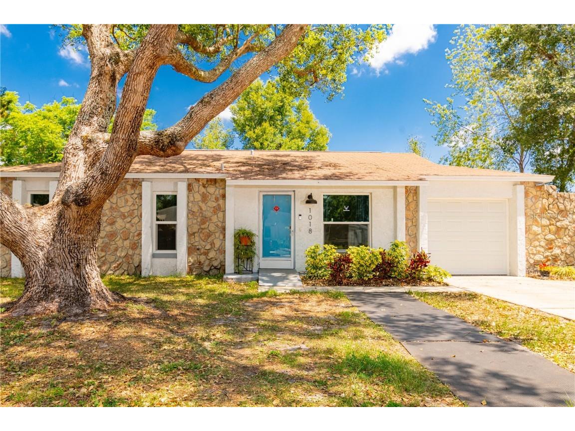 1018 Tiburon Drive Seffner FL 33584 T3446307 image1