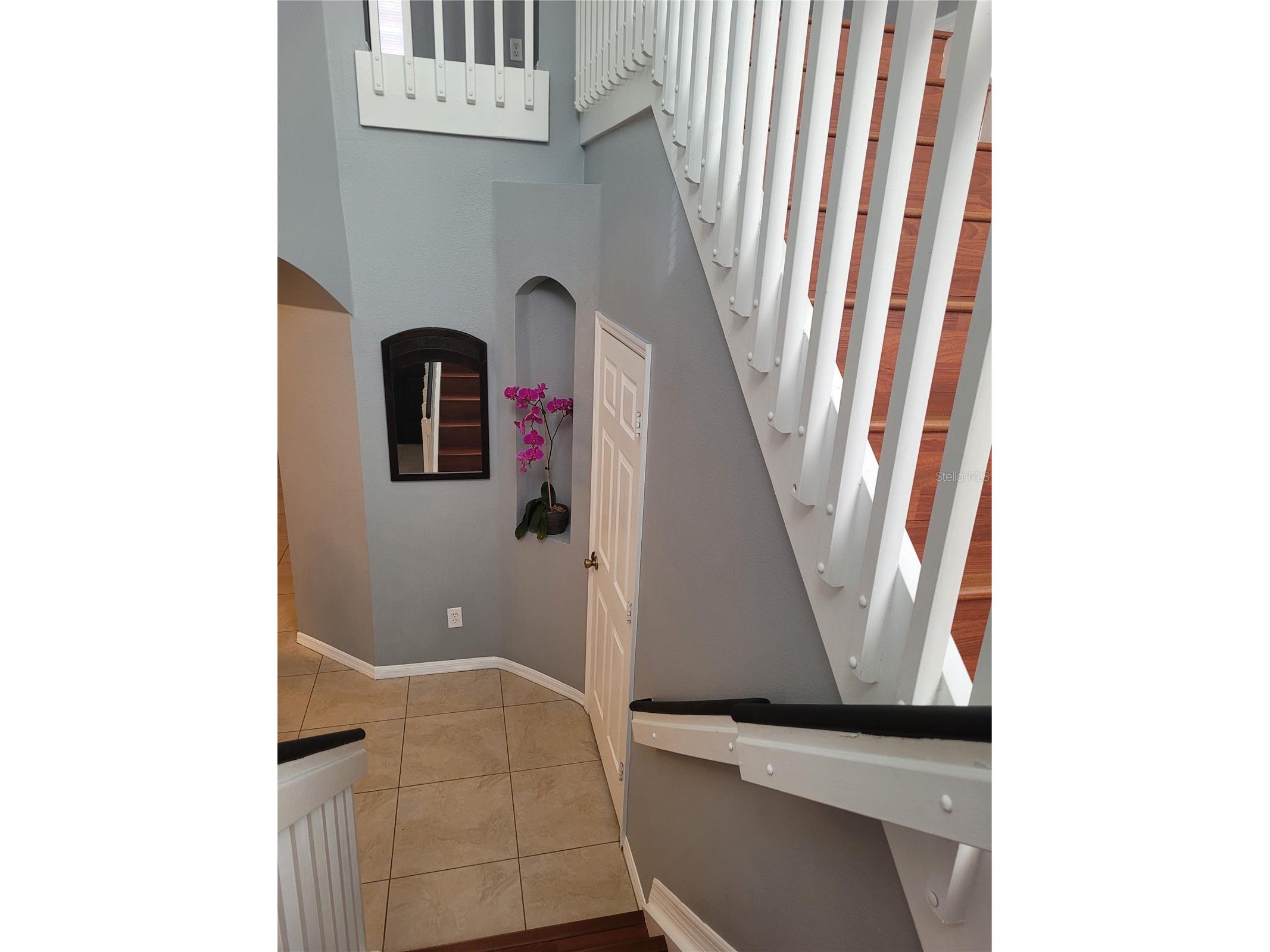 1018 Tullamore Drive Wesley Chapel FL 33543 TB8494224 image11