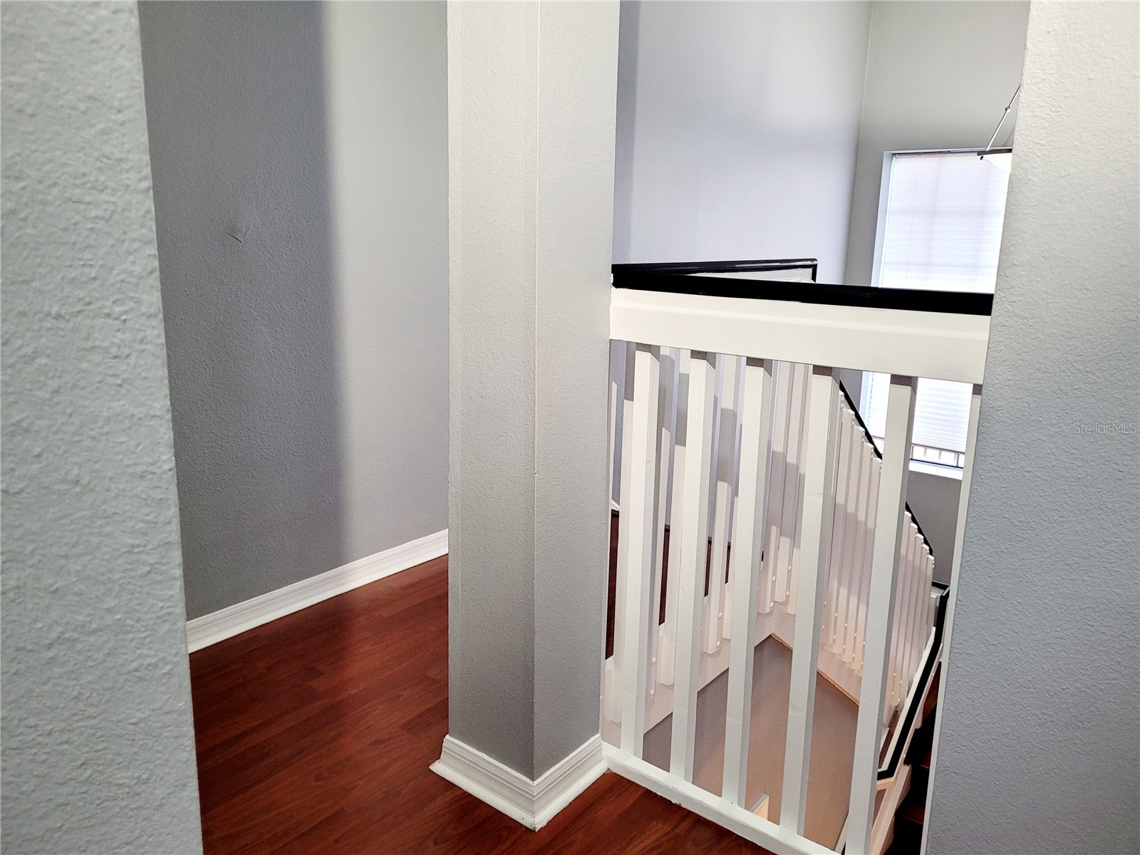 1018 Tullamore Drive Wesley Chapel FL 33543 TB8494224 image16
