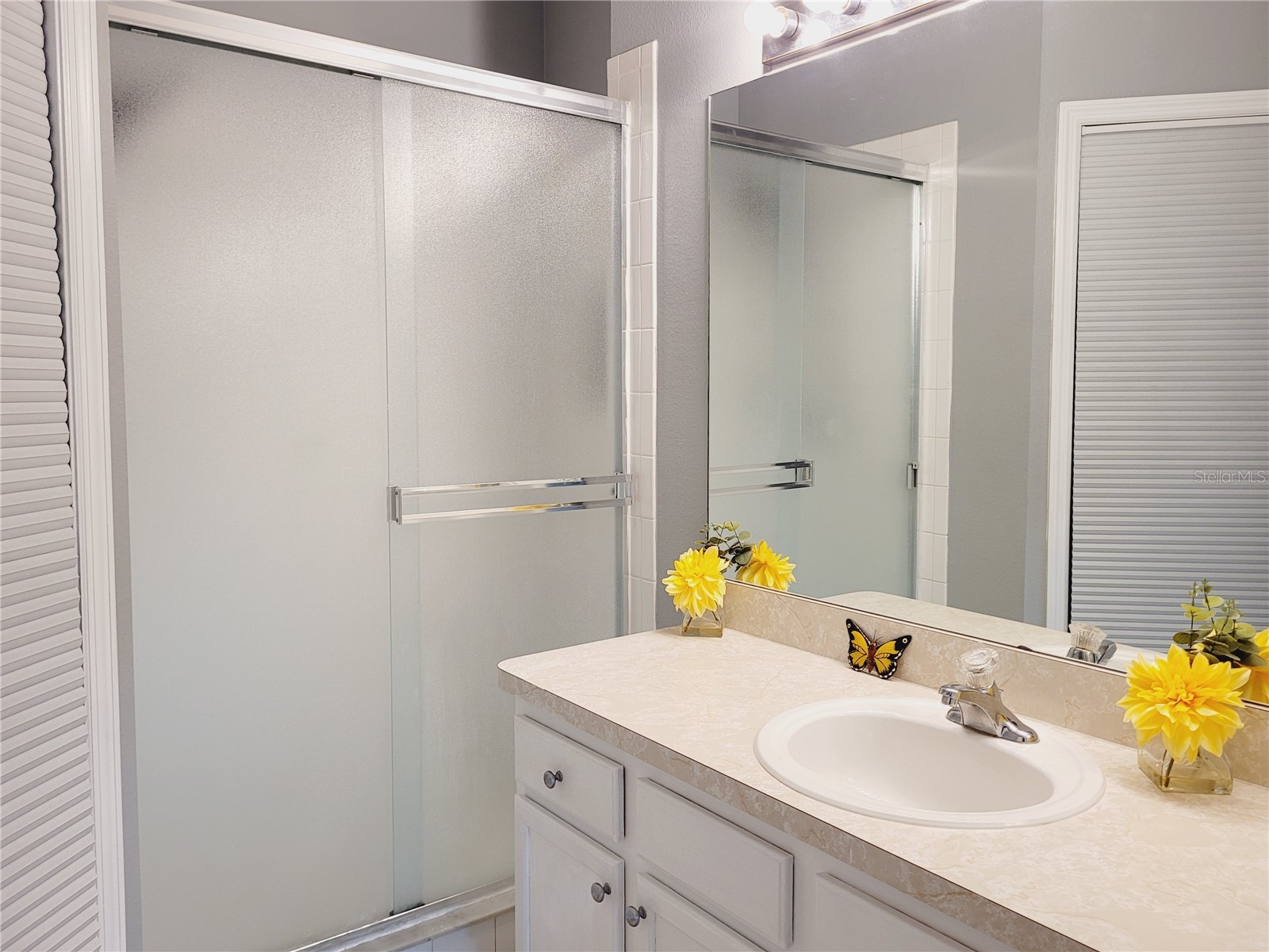 1018 Tullamore Drive Wesley Chapel FL 33543 TB8494224 image33