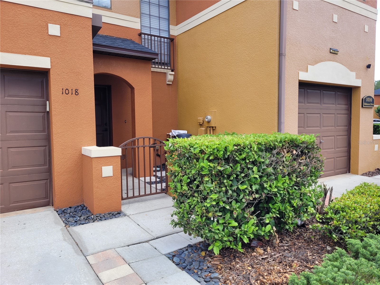 1018 Tullamore Drive Wesley Chapel FL 33543 TB8494224 image4
