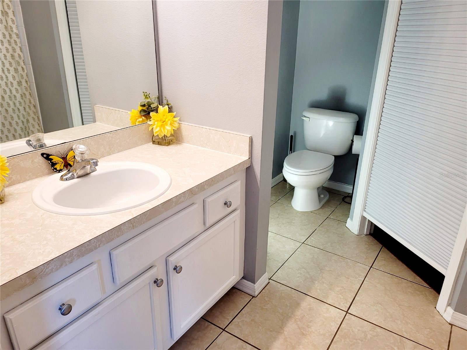 1018 Tullamore Drive Wesley Chapel FL 33543 TB8494224 image40