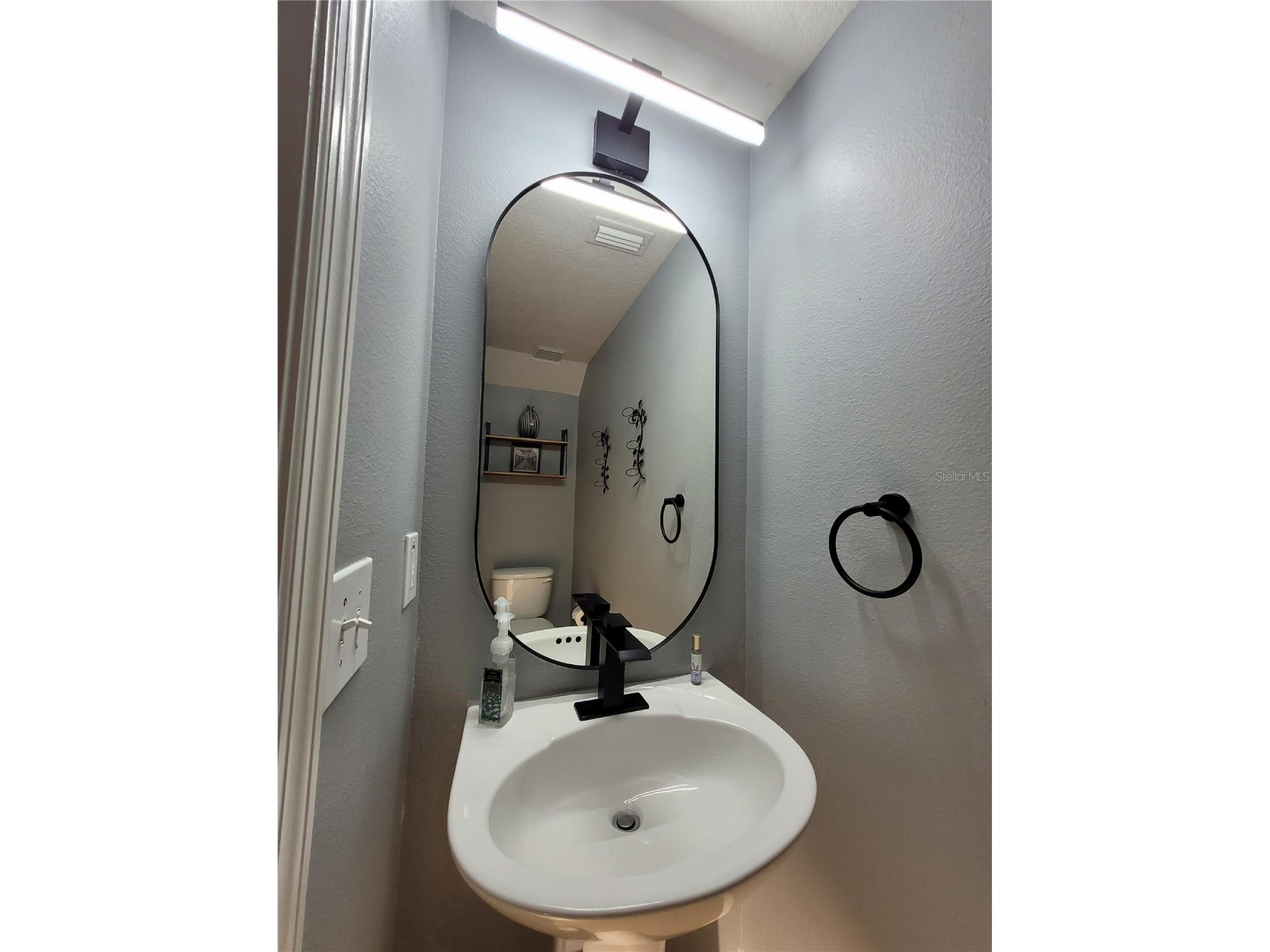 1018 Tullamore Drive Wesley Chapel FL 33543 TB8494224 image49