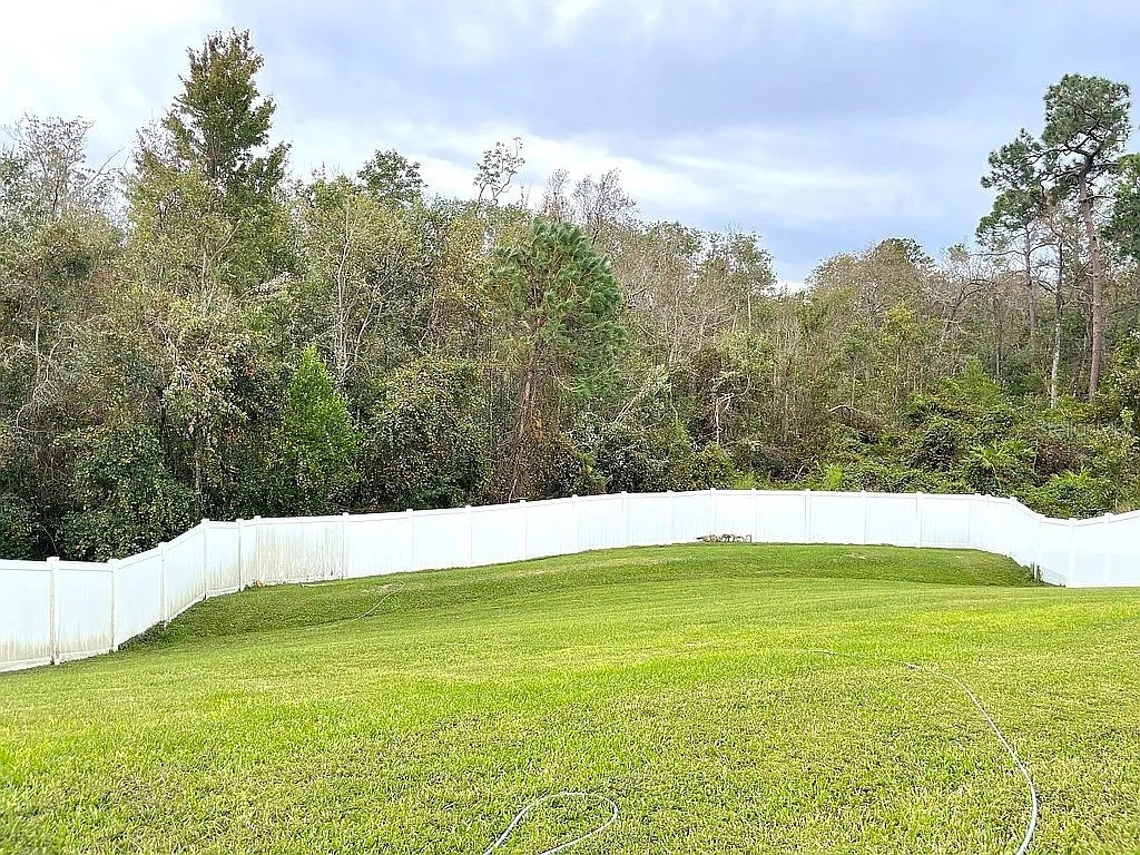 10180 Love Story Street Winter Garden FL 34787 A4657855 image18