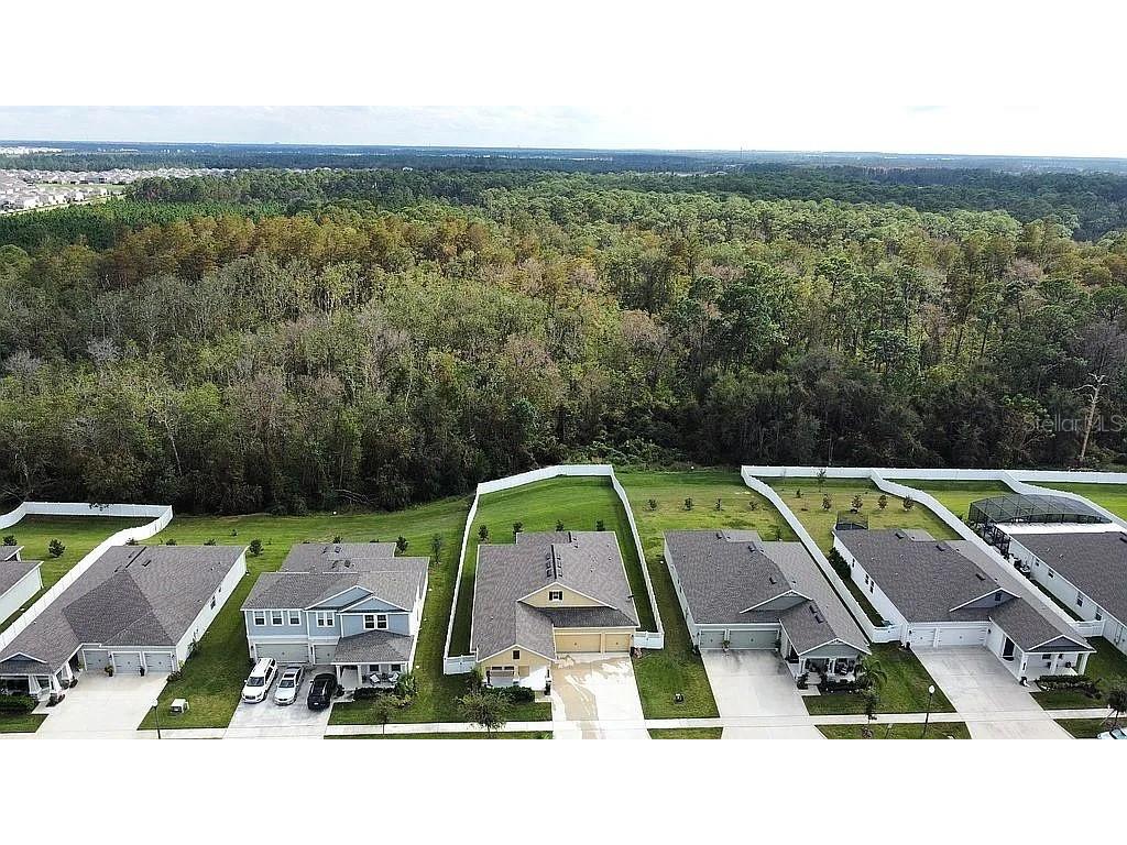 10180 Love Story Street Winter Garden FL 34787 A4657855 image27