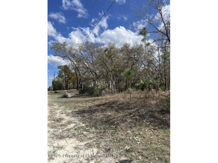 10180 Zebrafinch Avenue Weeki Wachee FL 34614 TB8332758 image1