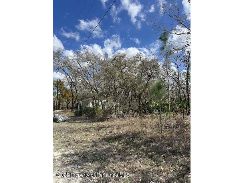 10180 Zebrafinch Avenue Weeki Wachee FL 34614 TB8332758 image3