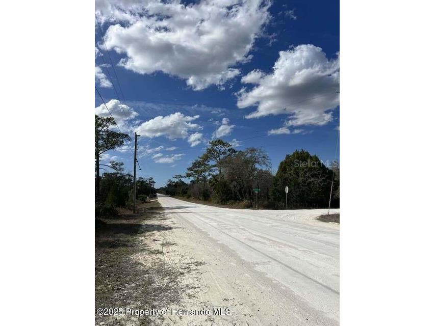 10180 Zebrafinch Avenue Weeki Wachee FL 34614 TB8332758 image4