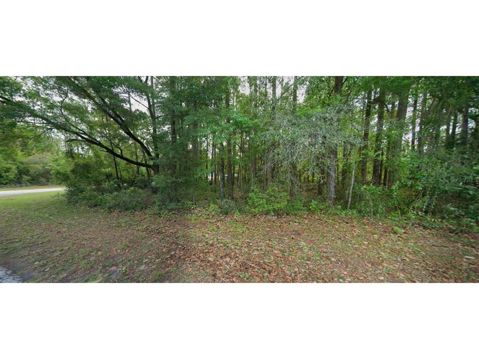 10181 N Gardner Way Citrus Springs FL 34434 O6423444 image1
