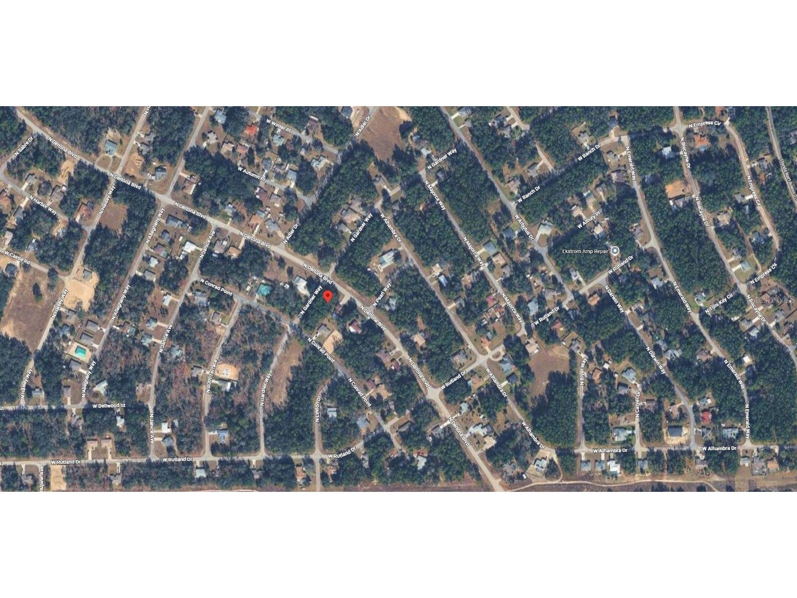 10181 N Gardner Way Citrus Springs FL 34434 O6423444 image2