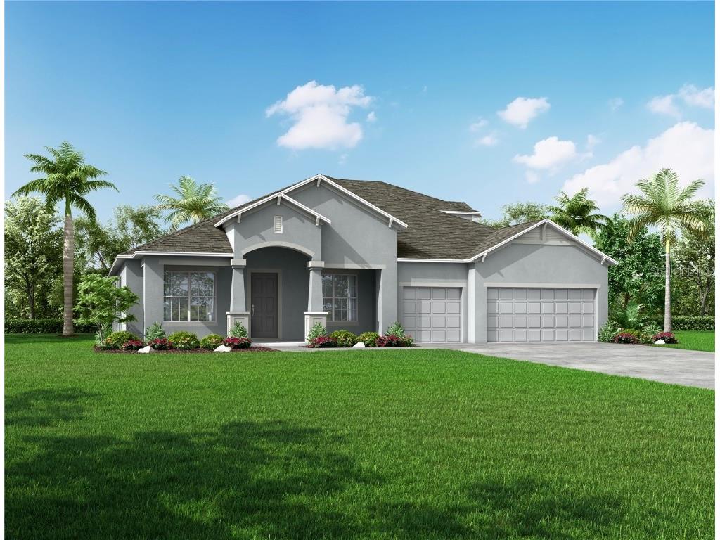 10182 Dolphin Gull Circle Thonotosassa FL 33592 O6148822 image1