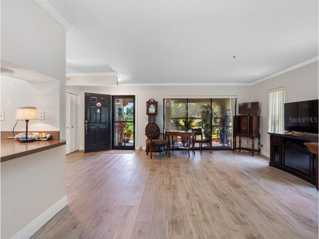 10182 Seminole Island Dr Largo FL 33773 TB8401432 image23