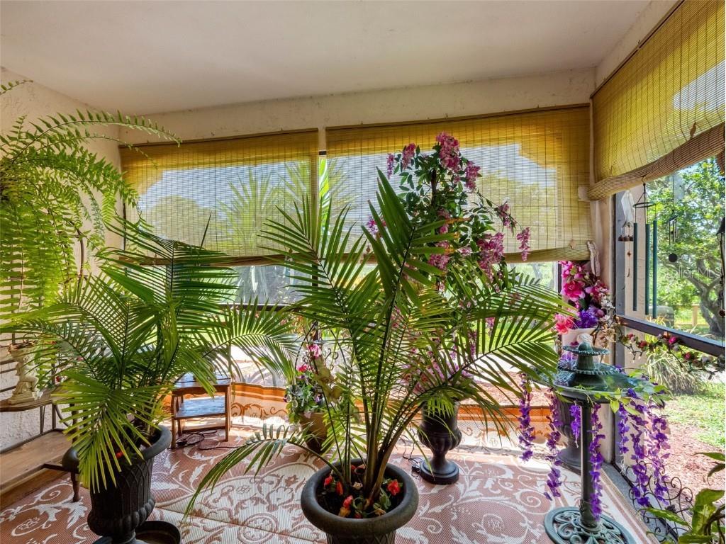 10182 Seminole Island Dr Largo FL 33773 TB8401432 image25