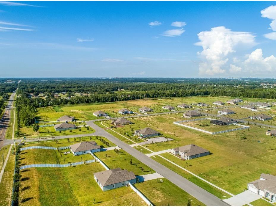 10183 White Magnolia Square Thonotosassa FL 33592 O6362829 image18