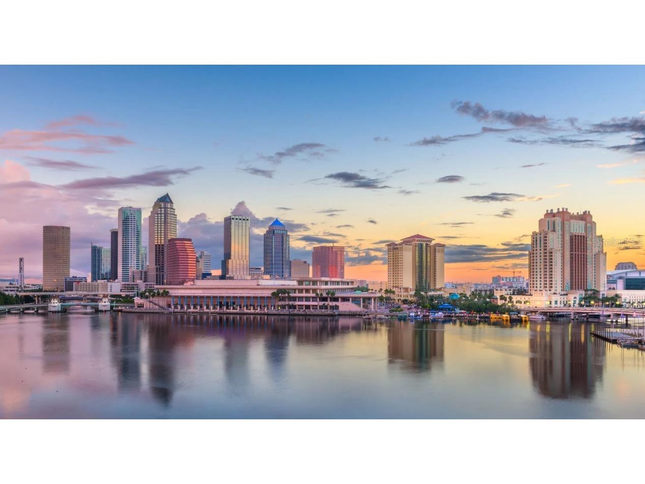 10183 White Magnolia Square Thonotosassa FL 33592 O6362829 image19