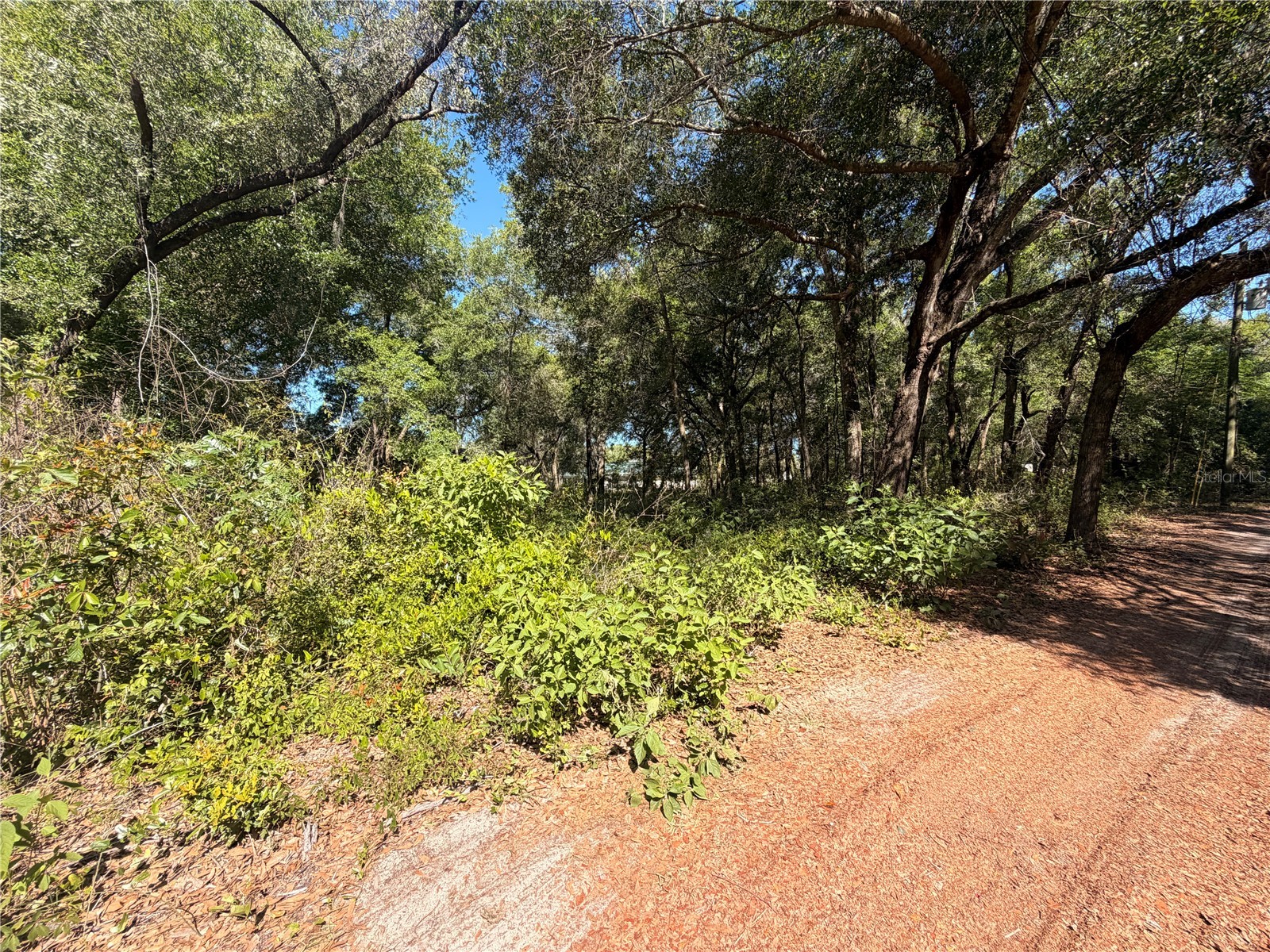 10185 Creekfield Road Brooksville FL 34613 TB8500853 image1