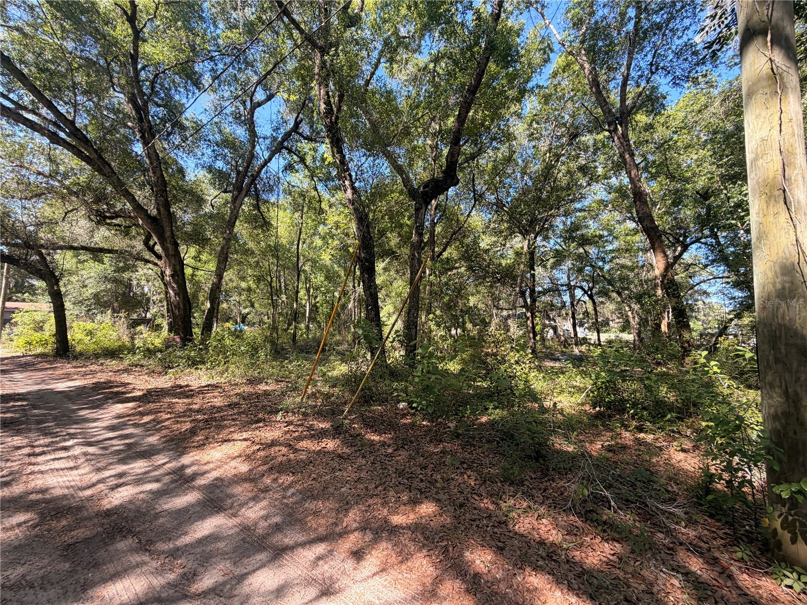 10185 Creekfield Road Brooksville FL 34613 TB8500853 image2