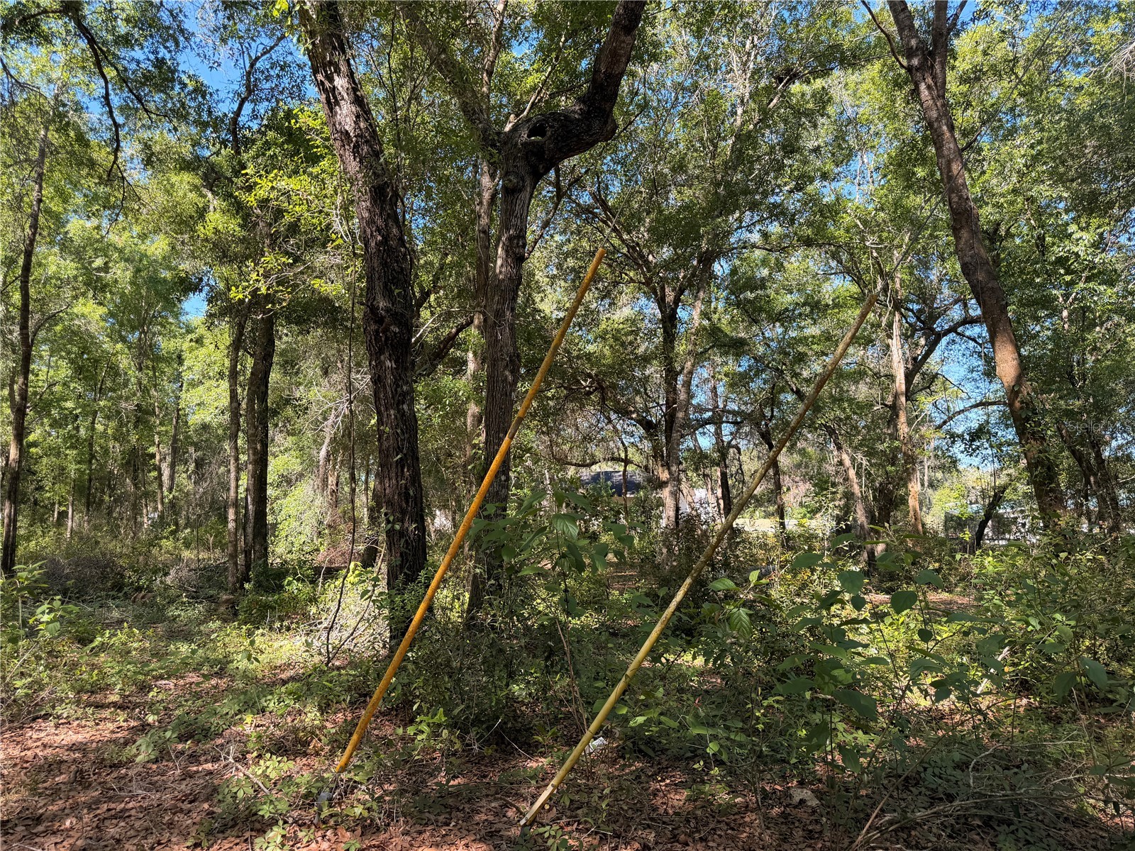 10185 Creekfield Road Brooksville FL 34613 TB8500853 image3