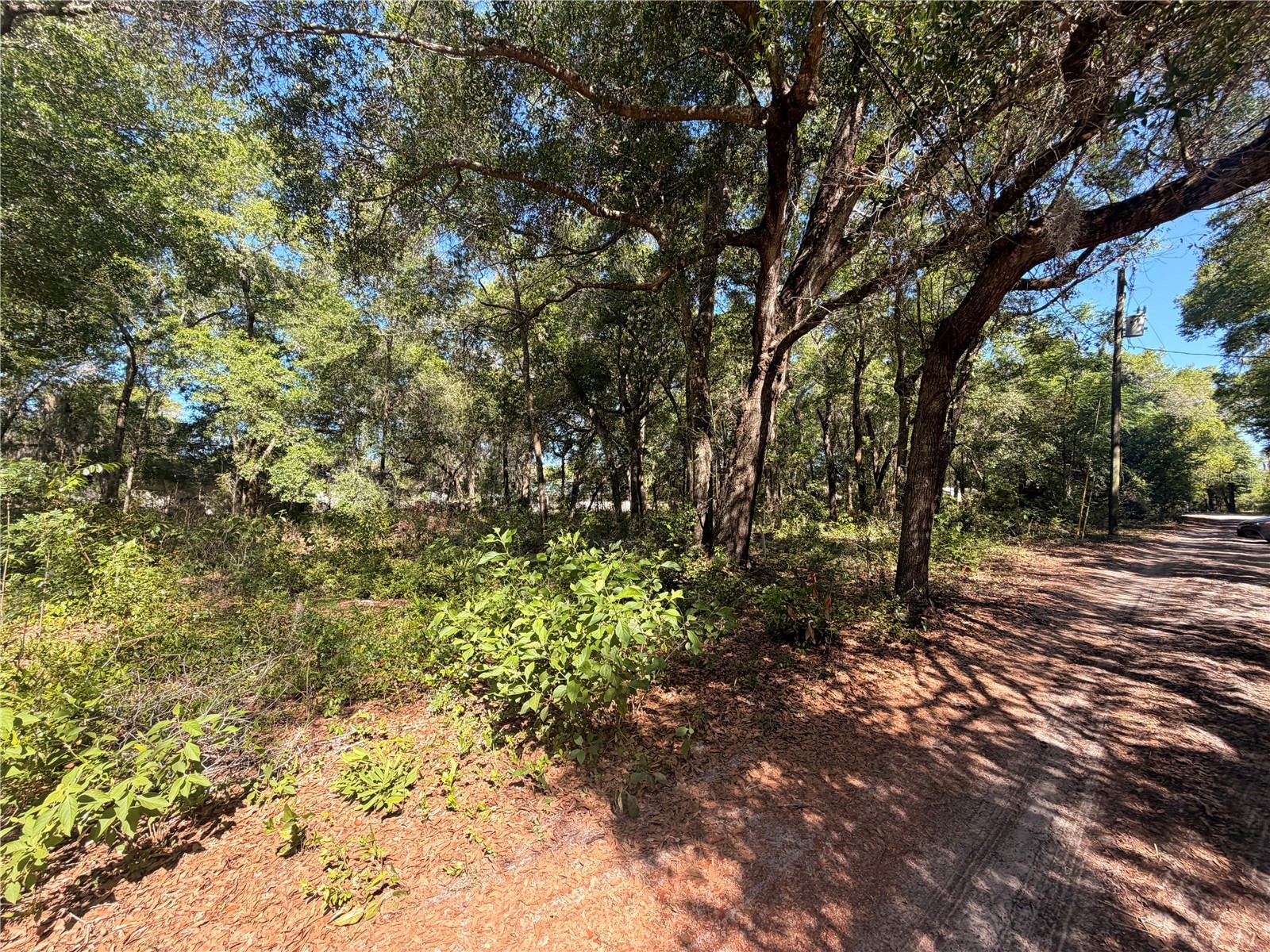 10185 Creekfield Road Brooksville FL 34613 TB8500853 image4